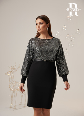 Rensix nagykereskedés 2025#349312 image