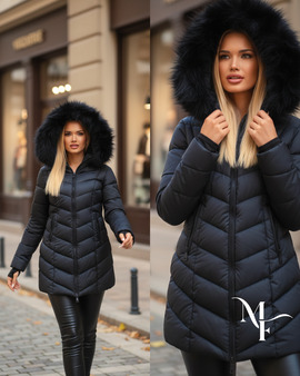 Metrofive #349125 image